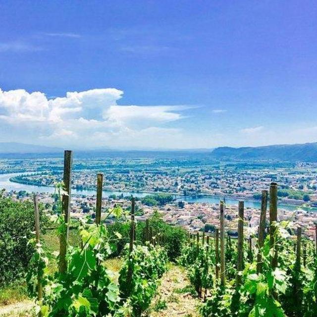 Wine Tour in Rhone Valley