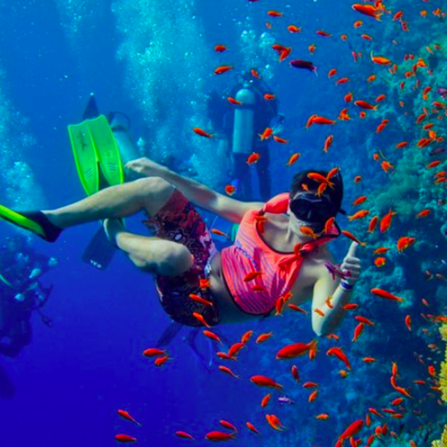 Honeymoon Half Day Snorkeling Tour