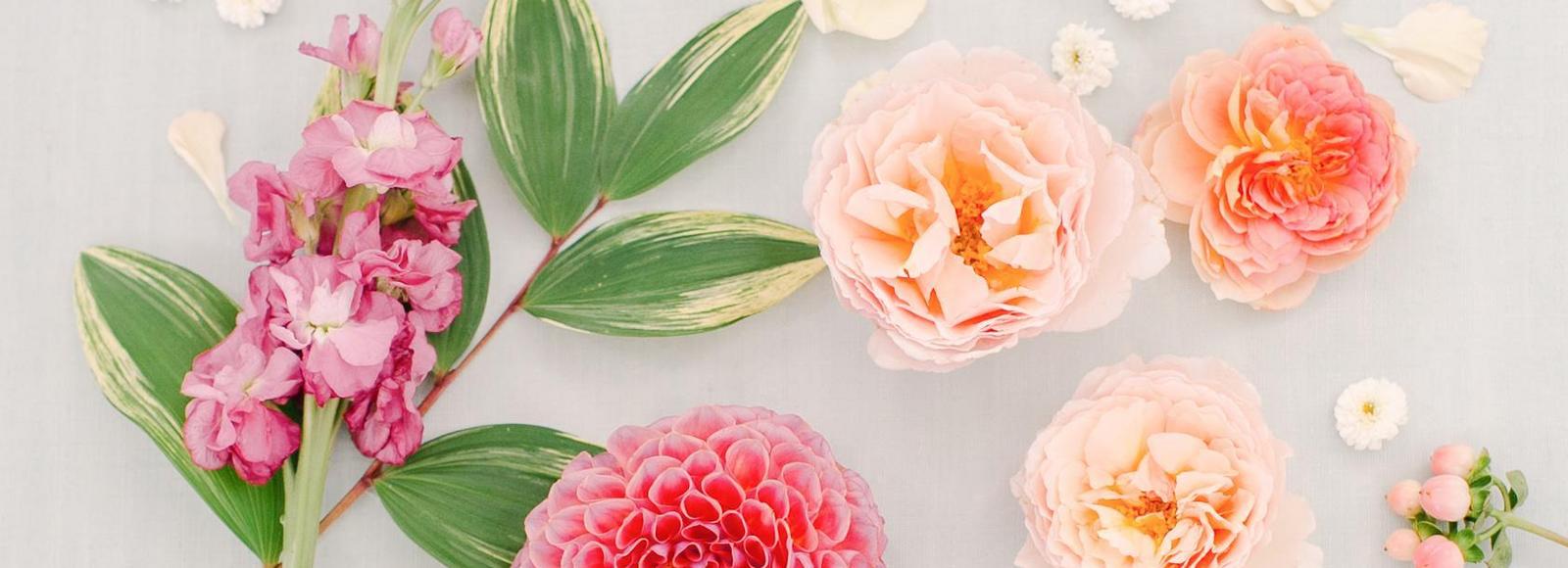 Marissa Fox and Cory Hart's Wedding Registry on Zola