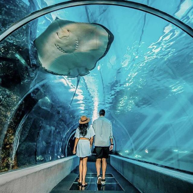 A trip to Maui Ocean Center