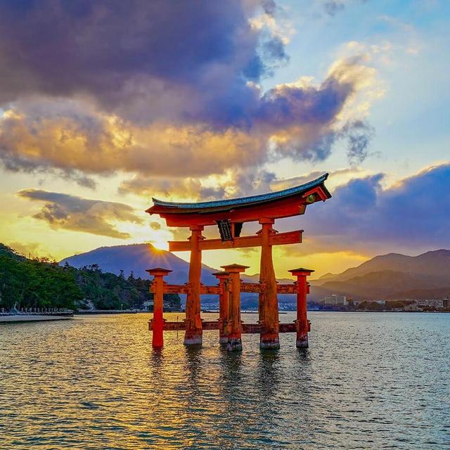 Our Japan Honeymoon Fund