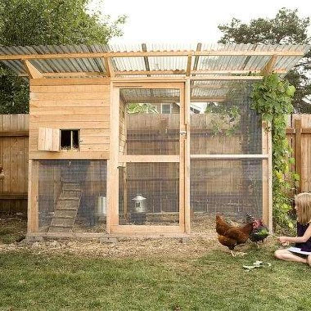 DIY Chicken Coop