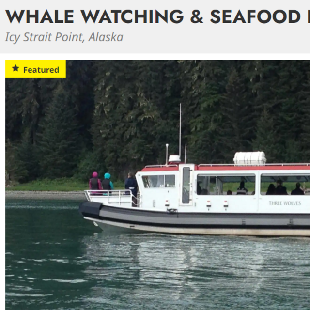 Alaska Whale Watching