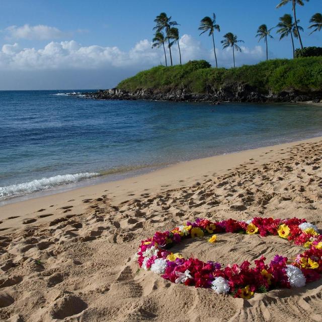 The Nored Weddingmoon