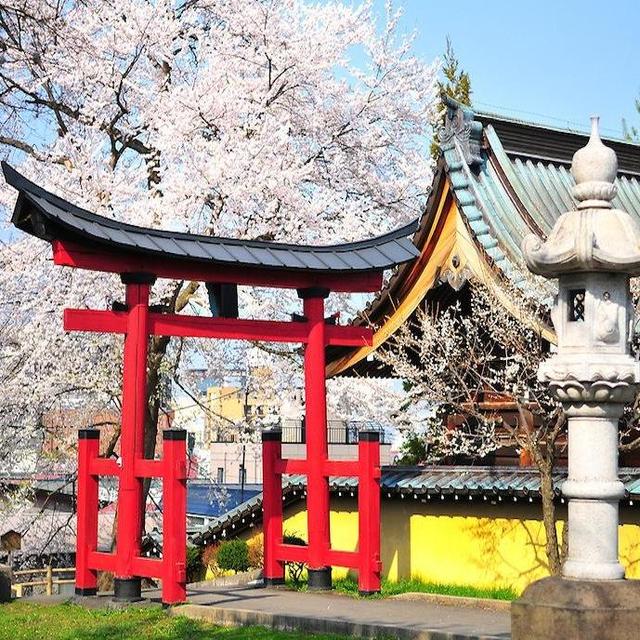 Sightseeing & Tours (Temples, Shrines, Museums)