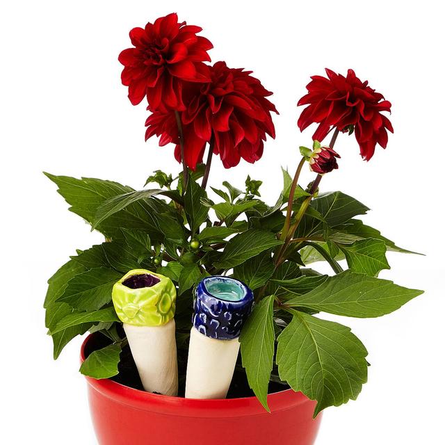 Butterfly Attracting Garden Spikes - Set of 2