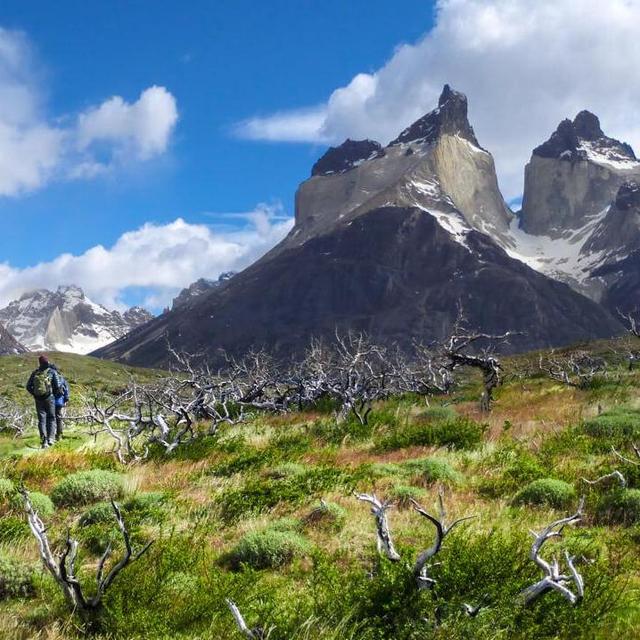 Wilderness Adventure Fund