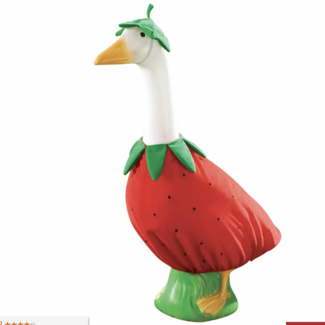 Strawberry Goose Outfit