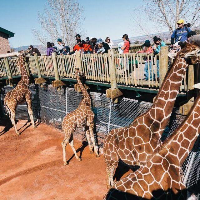 Cheyenne Mountian Zoo Admission