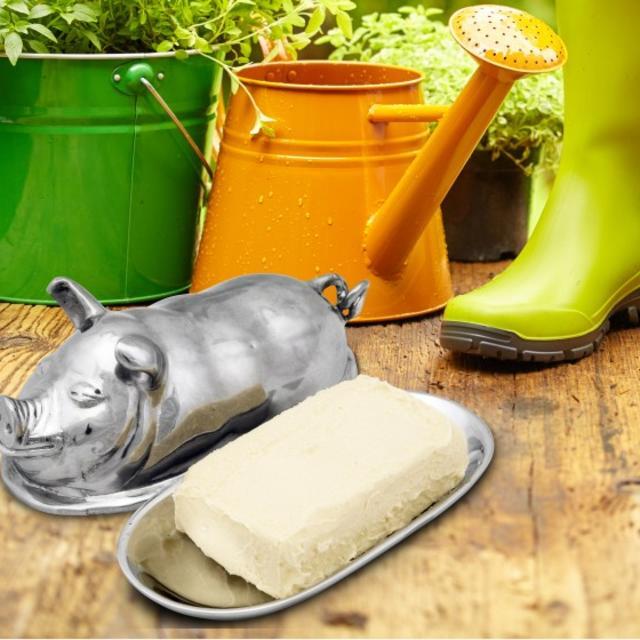Pig Butter Dish
