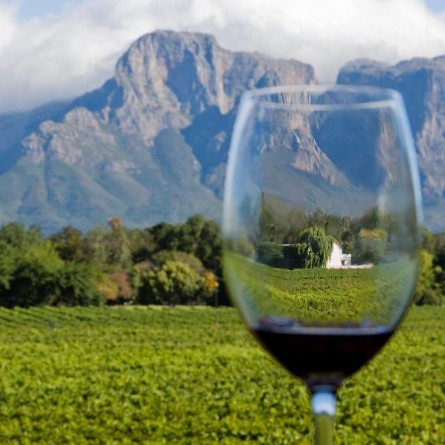 Wine tasting in South Africa Winelands