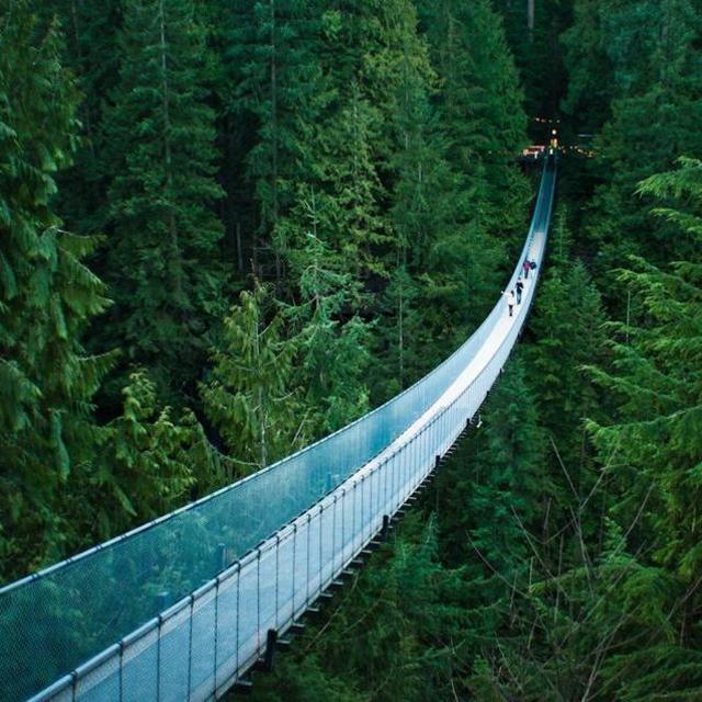 A Picnic Lunch at Lynn Canyon Park