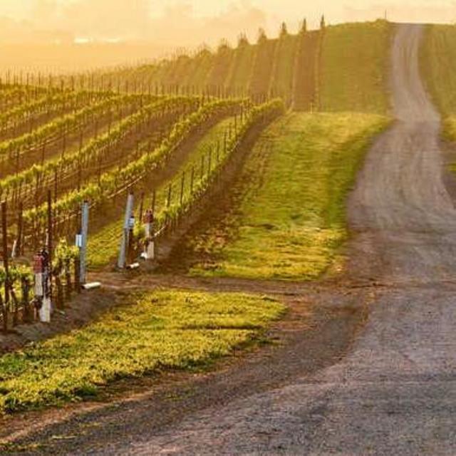 General Honeymoon Fund