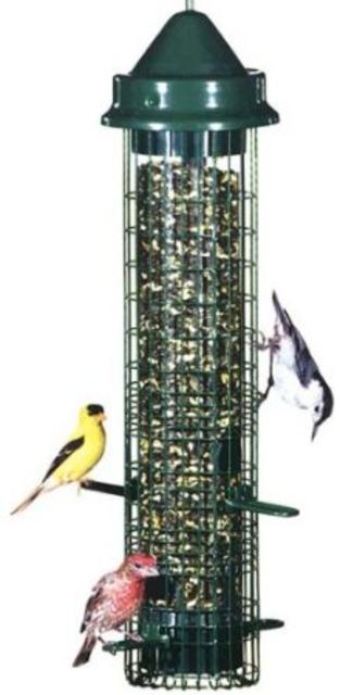 Bird feeder