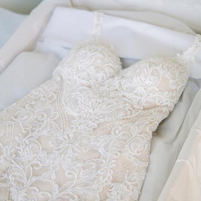 Wedding Dress Preservation