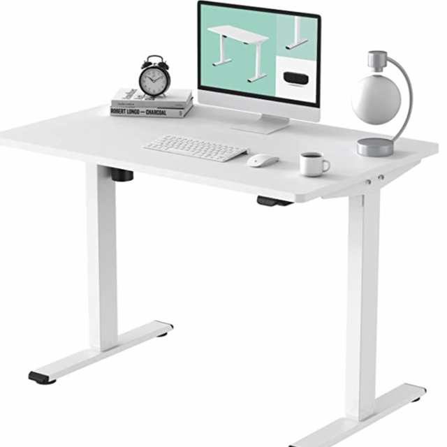 Flexispot EC1 Electric White Standing Desk Adjustable Height Desk, 48 x 30 Inches Whole Piece Board Sit Stand Desk Home Office Workstation Stand up Desk (White Frame + 48 in White Top)
