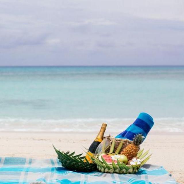 Picnic at Private Island on Fiji Honeymoon