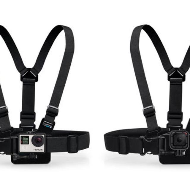 Chesty (Chest Harness)