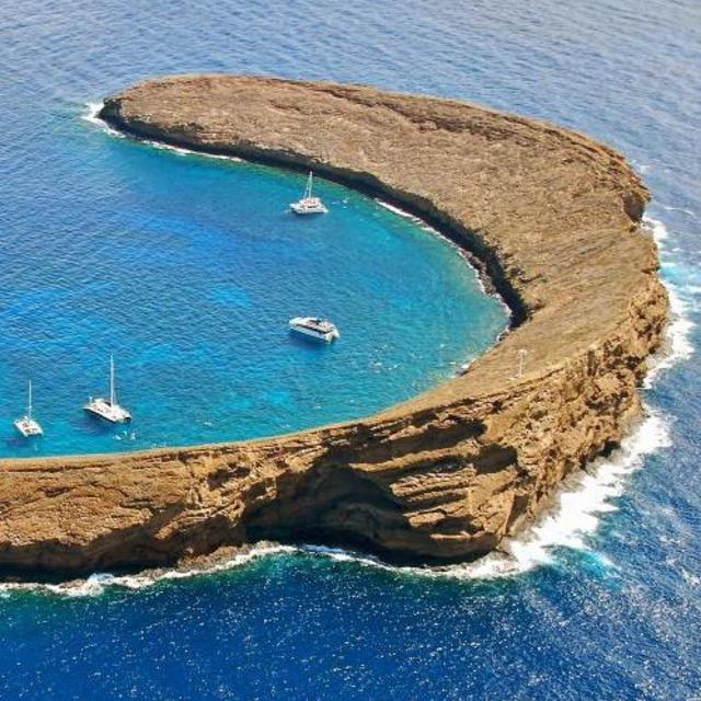 Snorkeling at Molokini Crater in Maui