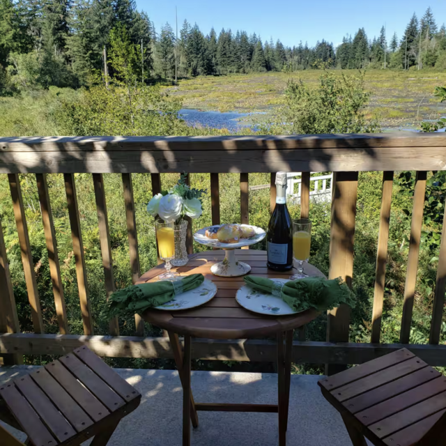 Cabin in the wetlands!