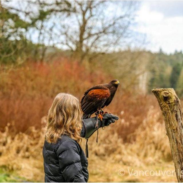 Raptor Center Encounter