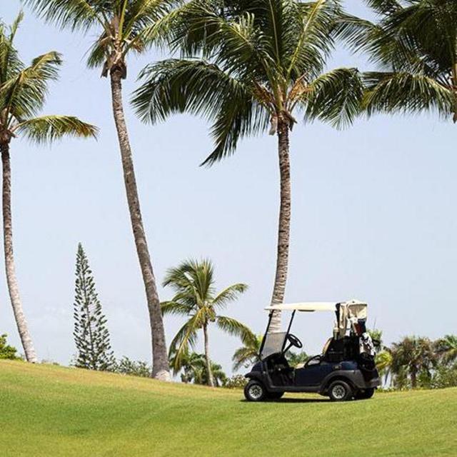 Round of Golf
