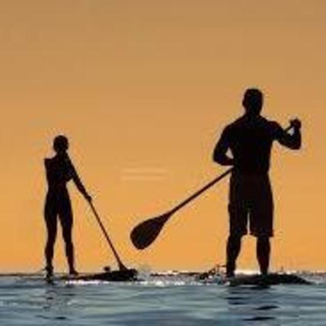 Paddle Boards
