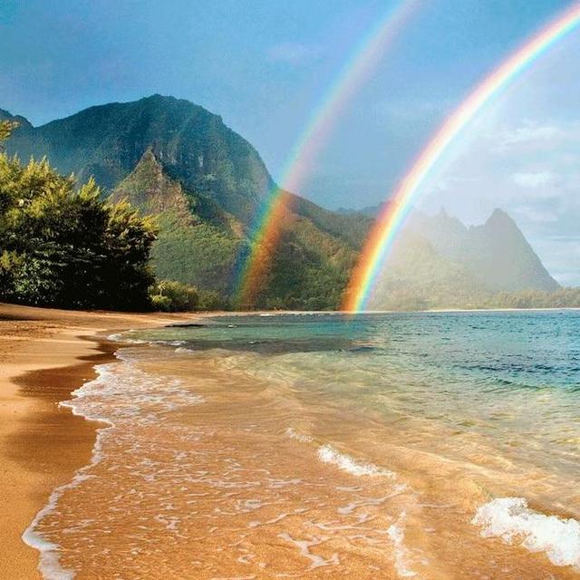 Our Hawaii Honeymoon Fund