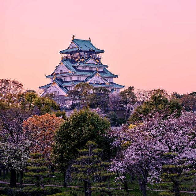 Our Honeymoon Fund to Japan! - Credit Card