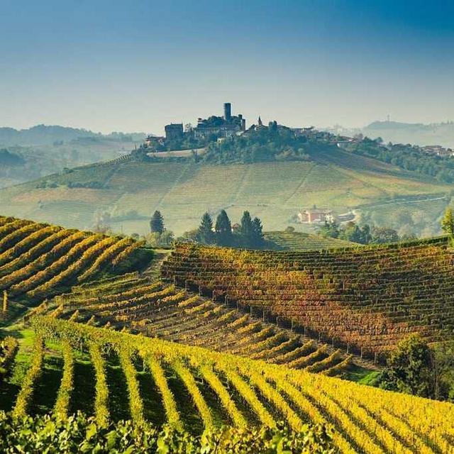 Italian Wine Tasting