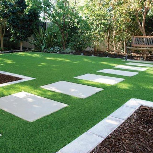 Backyard Astroturf
