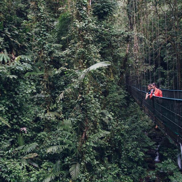 Hanging Bridges Rainforest Tour