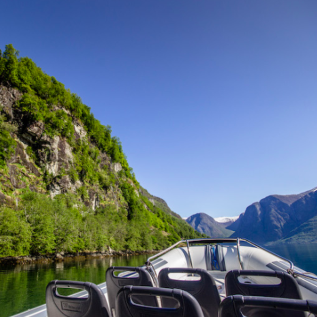 Fjordsafari in Flåm