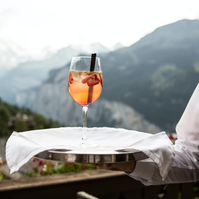 Tips/Gratuities for Wedding Servers & Performers