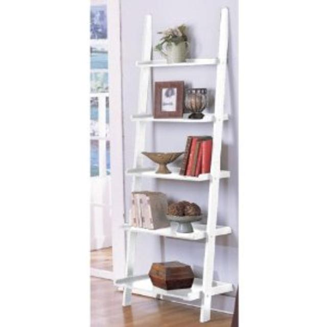 Amazon- White 5-tier Leaning Ladder Book Shelf