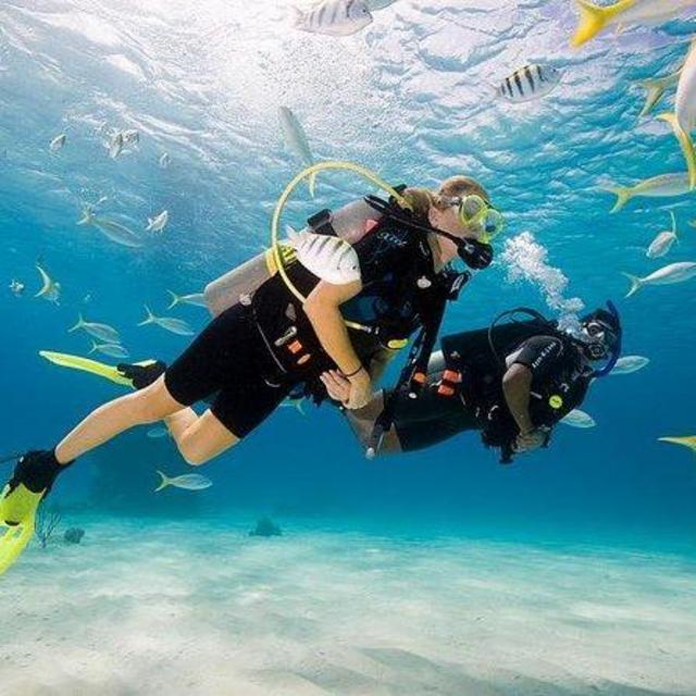 Scuba Diving