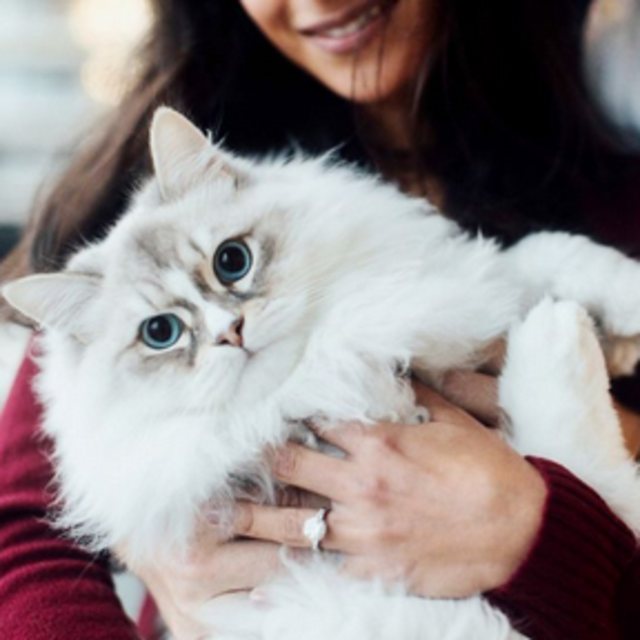 Quincy (& other future offspring!) Fund