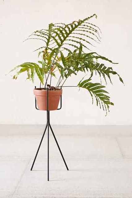 Tripod Plant Stand