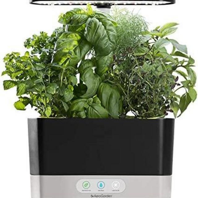 AeroGarden Harvest - Indoor Garden with LED Grow Light, Black
