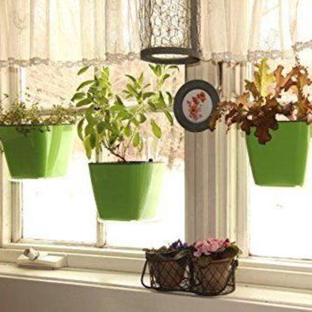 Aquaphoric Self Watering Planter (5”) + Fiber Soil = Foolproof Indoor Home Garden. Decorative Planter Pot for All Plants, Flowers, Herbs, African