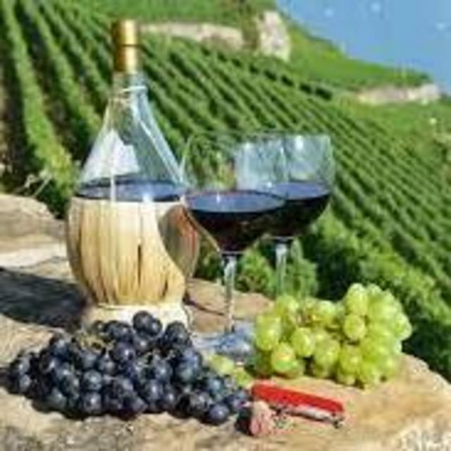 Italian Wine Tasting