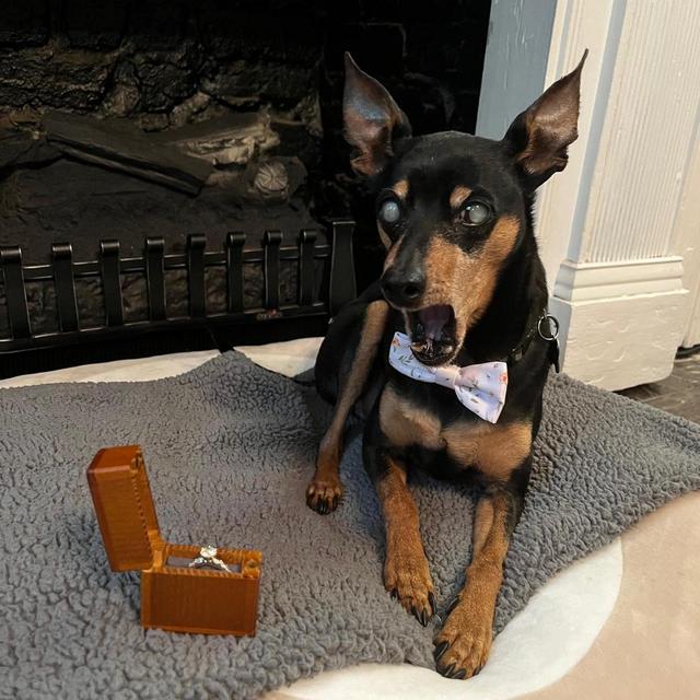 Martini Needs a Sister