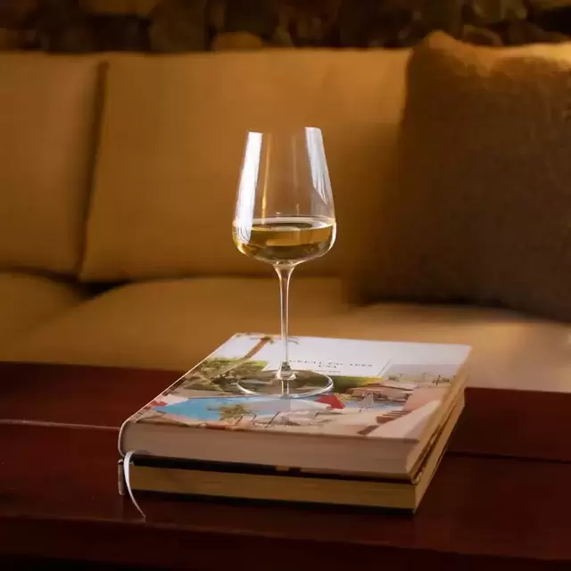 Fable Wine Glasses (Set of 4)