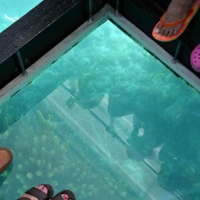 Glass Bottom Boat tour