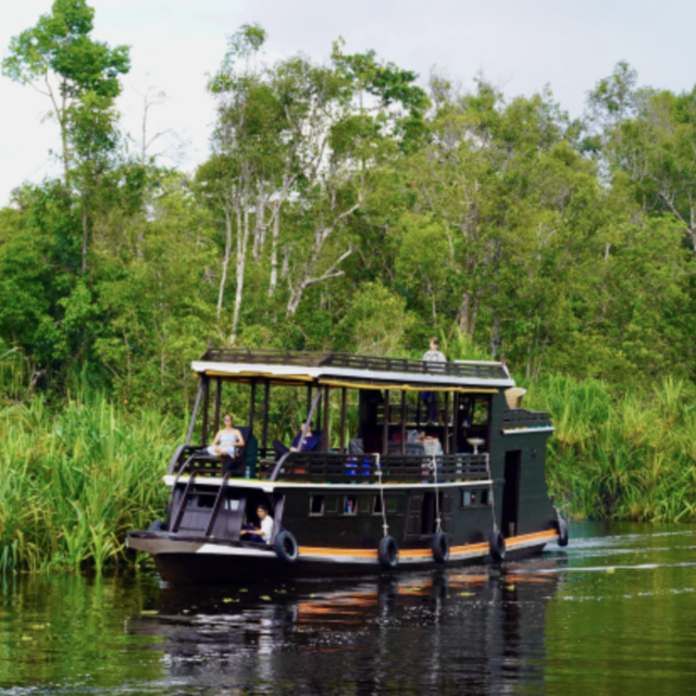 Orangutan Houseboat Tour in Borneo