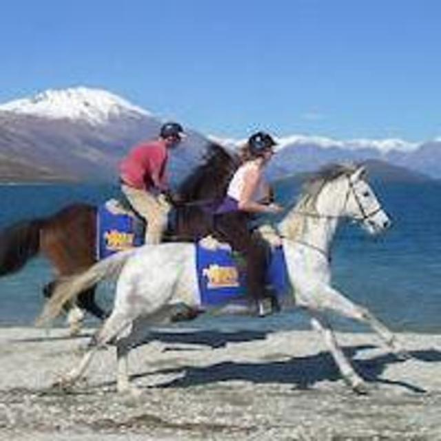 Terri's Dream, Matt's Nightmare