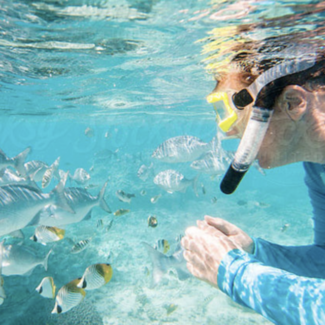 Couples Snorkeling