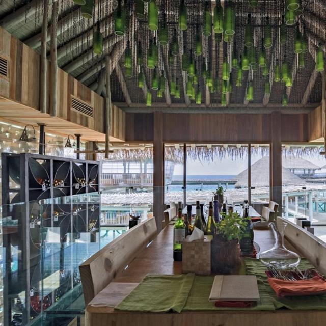Dinner in Altitude Wine Cellar with Full Pairing