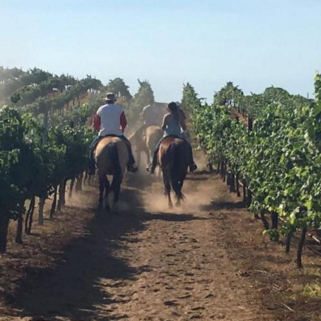 Horseback Ride in Tuscany