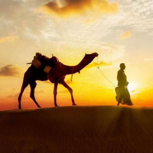 Desert Dune Camel Dinner - Dubai